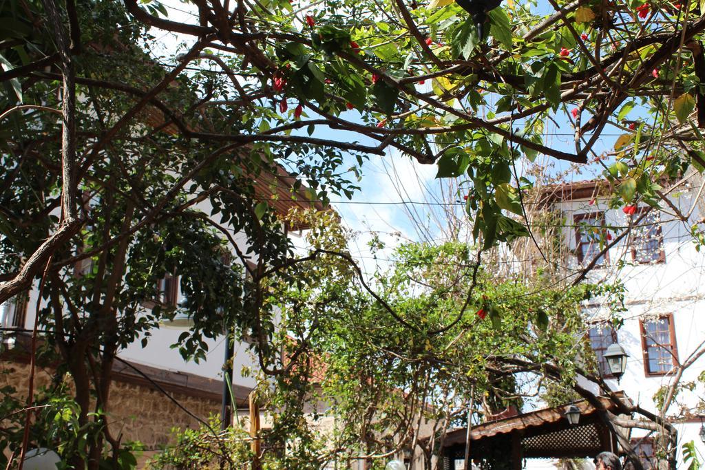 Lazer Pension Antália Exterior foto